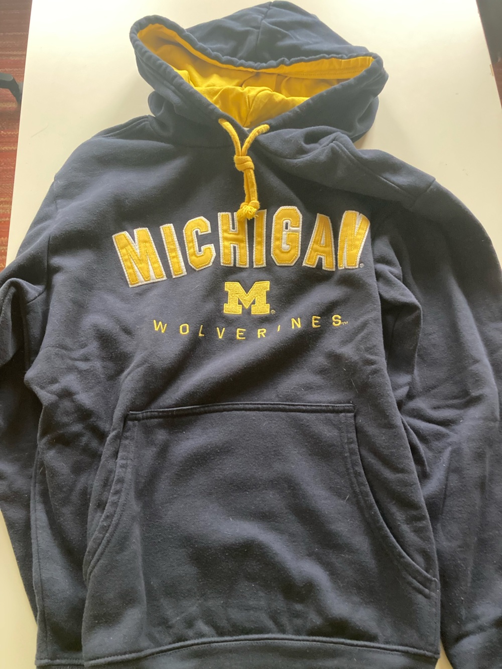 Women's Michigan Hoodie